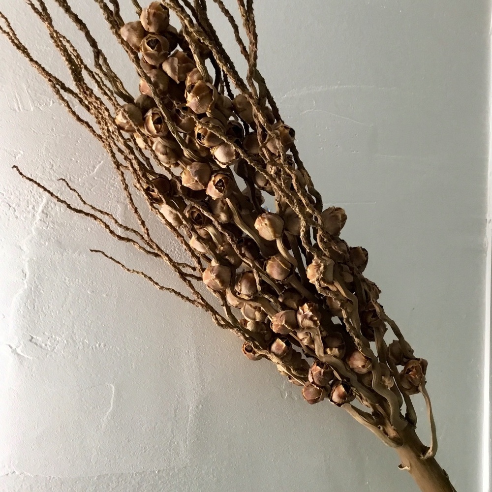 Dried coconut, flower bouquet, 20 inch yourself, floral arrangements natural